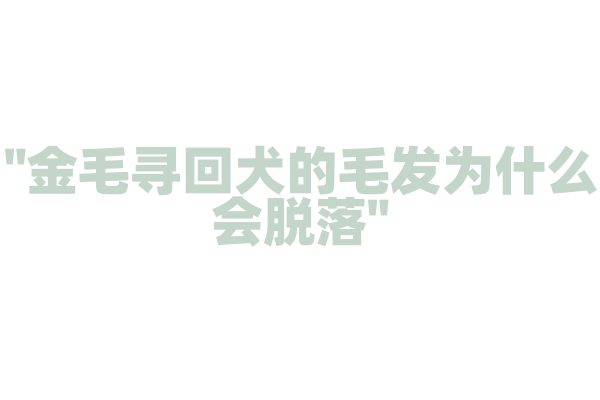 "金毛寻回犬的毛发为什么会脱落"